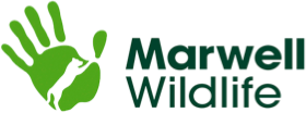 Marwell Wildlife organisation logo.